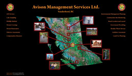 Avison Management Services Link